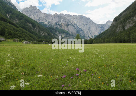 Schöne Logar-tal oder Logarska dolina Park, Slowenien, Europa. Inspiration Reisen unter Kamniker-Savinjer Alpen. Stockfoto