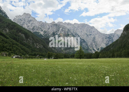 Schöne Logar-tal oder Logarska dolina Park, Slowenien, Europa. Inspiration Reisen unter Kamniker-Savinjer Alpen. Stockfoto