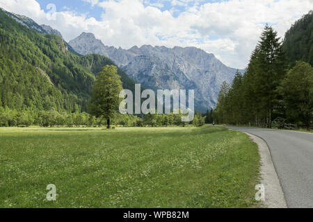 Schöne Logar-tal oder Logarska dolina Park, Slowenien, Europa. Inspiration Reisen unter Kamniker-Savinjer Alpen. Stockfoto