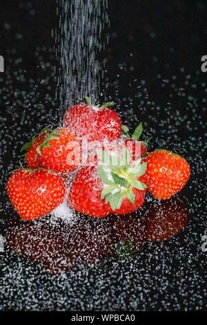 Gießen, Zucker auf frischen roten Erdbeeren Stockfoto
