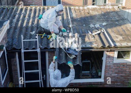 Professionelle Entfernung von Asbest. Männer in Schutzanzügen aus Asbestzement gewölbte Dachmaterialien Stockfoto