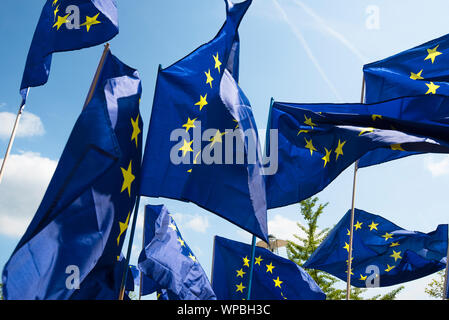 Flaggen der Europäischen Gemeinschaft im Wind vor blauem Himmel Stockfoto