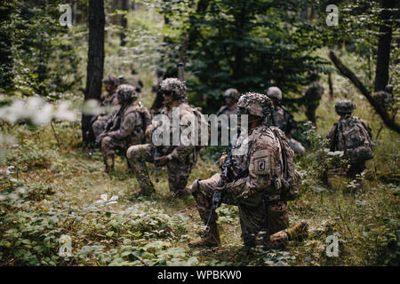 Us-Armee Fallschirmjäger zur 1. Staffel zugewiesen, 91st Cavalry Regiment, 173Rd Airborne Brigade ein Bild einstellen und ihre Bahnen für feindliche Bewegung während eines Unternehmens-kombinierte Waffen live-fire Übung in Grafenwöhr Training Area, Deutschland, 23. August 2019. Die 173Rd Airborne Brigade ist der US-Armee Contingency Response Force in Europa, die schnell verlegbaren Truppen nach Europa, Afrika und Zentrale Befehle Verantwortungsbereiche. Vorwärts im Einsatz in Italien und Deutschland, die Brigade routinemäßig Züge neben den NATO-Verbündeten Partnerschaften aufzubauen und das Bündnis zu stärken. Stockfoto