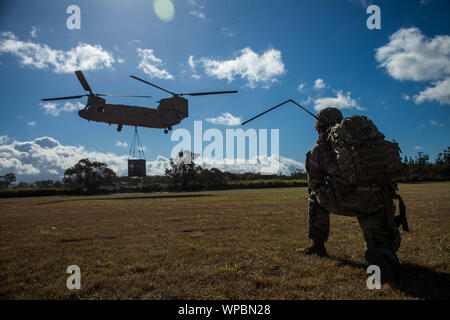 Chief Warrant Officer 3 Gregory Benson, Airdrop Systeme Techniker 25 Sustainment Brigade zugewiesen, 25 Infanterie Division zusammen mit 25 ID HHBN Hauptsitz Wartungspersonal und 25 Combat Aviation Brigade CH-47 Chinook Hubschrauber zu leiten Sling - last Operationen erfolgreich bewegen 3 CONNEXs, einem Anhänger montiert 60 Kw generator, und a4 Tür Humvee aus dem Bereich Röntgen zu Weyland Feld, auf Schofield Barracks, HI zur Unterstützung der Kommandostellenübung. (U.S. Armee Foto von Sgt. Sarah D Sangster) Stockfoto