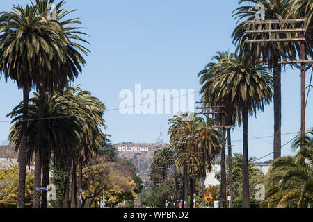 Reihe von Bäumen, die zu den Hollywood Sign in Los Angeles Stockfoto