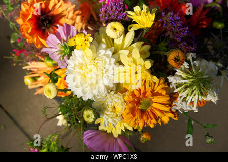 Blick von oben auf die Blumen für den Verkauf Stockfoto