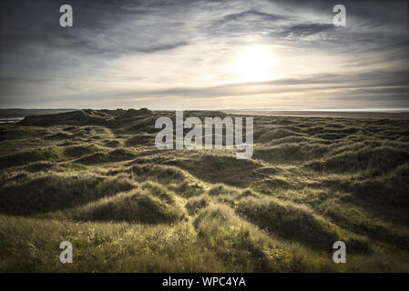 Landschaft in Scotlands Osten auf der heiligen Insel Stockfoto