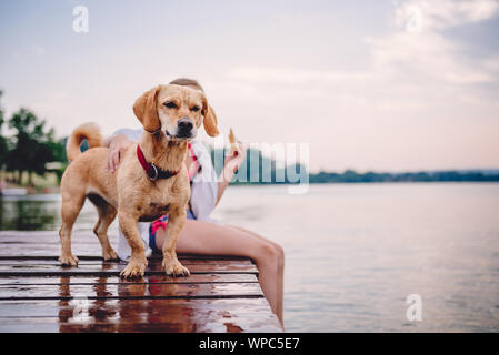 Kleine gelbe Hund stehend auf dem Dock mit kleinen Mädchen Stockfoto