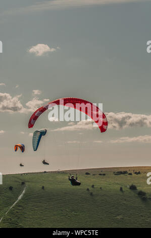 Devils Dyke, Brighton, Sussex, Großbritannien..8. September 2019. Ein glorreicher Nachmittag in den South Downs sahen viele Gleitschirmflieger auf dem Nordwind in die Luft. . Stockfoto