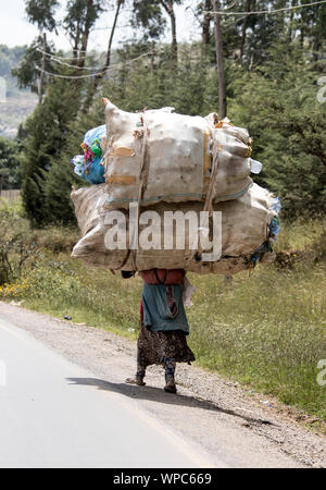 Eine Frau in Äthiopien trägt eine massive Belastung auf ihrem Rücken. Stockfoto