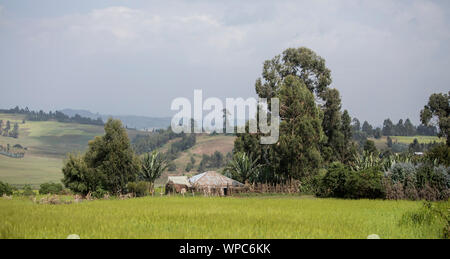 Panorama der Farm und Bauernhaus in den Bergen von Äthiopien. Stockfoto