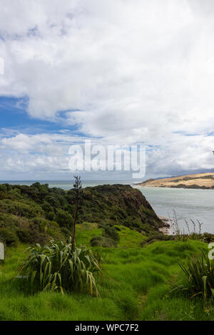 Blick vom Aussichtspunkt in der Nähe von Opononi, Neuseeland Stockfoto