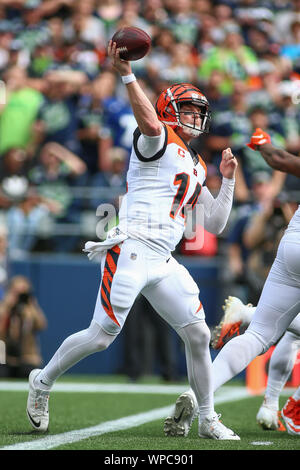 Seattle, WA, USA. 8. Sep 2019. Cincinnati Bengals Quarterback Andy Dalton (14) den Ball während eines Spiels zwischen den Cincinnati Bengals und Seattle Seahawks an CenturyLink Feld in Seattle, WA. Sean Brown/CSM/Alamy leben Nachrichten Stockfoto