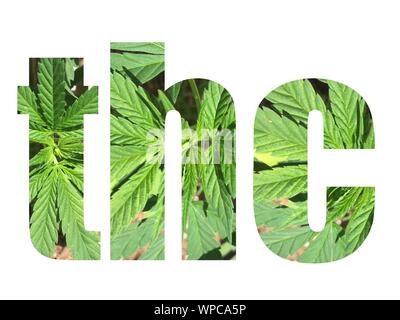 THC Typografie mit Cannabis Blätter in Text Stockfoto