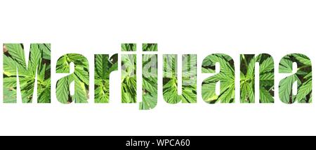 Marihuana Typografie mit Marihuana lässt im Text Stockfoto