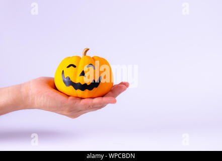 Halloween Konzept. Frau Hand orange Kürbisse über Weißbuch Hintergrund. Stockfoto
