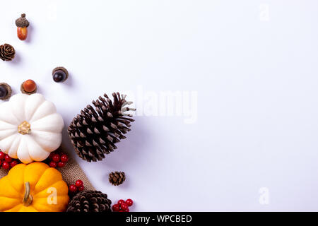 Draufsicht des Kürbis und roten Beeren auf weißem Papier Hintergrund. Thanksgiving Day oder Herbst Konzept. Stockfoto