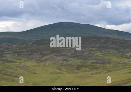 Moor entlang der Sgor Buidhe Trek in der Nähe von Ballater, Cairngorm Mountains, Schottland Stockfoto
