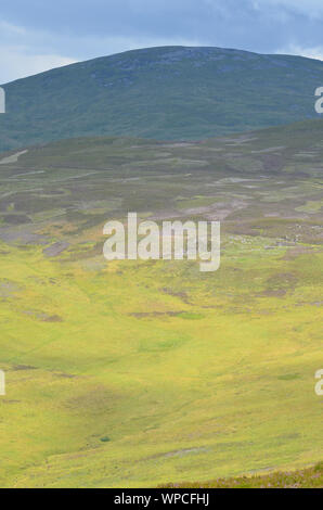 Moor entlang der Sgor Buidhe Trek in der Nähe von Ballater, Cairngorm Mountains, Schottland Stockfoto
