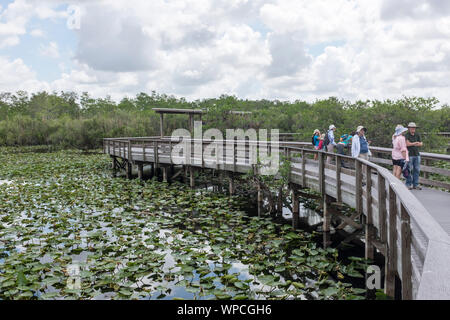 Touristen auf der Promenade auf der Anhinga Trail in den Everglades National Park, Florida, USA Stockfoto