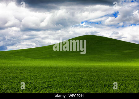 Sonne und Schatten auf Weizen bedeckten Hügeln in der Palouse Region Eastern Washington Stockfoto