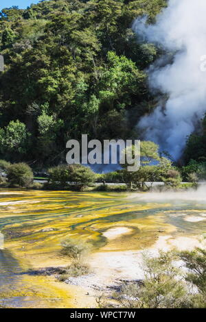 Geothermische Aktivität in Waimangu Volcanic Valley im Rotorua Region Neuseelands. Stockfoto