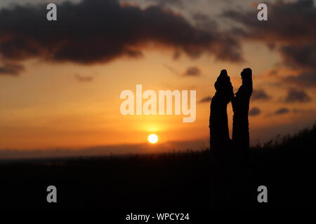 Liebe in der Natur/Natural Romance Stockfoto