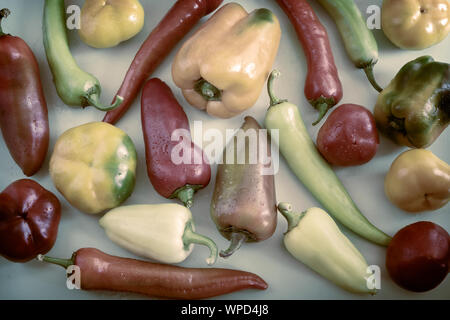Reife Früchte von verschiedenen Sorten von Paprika Stockfoto