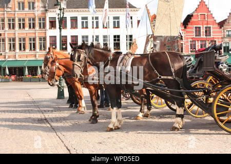 Alte Häuser und Pferdekutschen am Grote Markt, mittelalterliche Stadt Brugge, Belgien, Europa. Weltkulturerbe der UNESCO Stockfoto