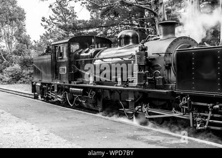 Melbourne, Australien - 7. Januar 2009: Dampfeisenbahn 'Puffing Billy'. Historische Schmalspurbahn in den Dandenong Ranges in der Nähe von Melbourne. Stockfoto