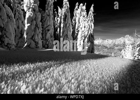 Winter in den Cadore Dolomiten. Schneekristalle. Pian dei Buoi Plateau. Die Dolomiten. Schwarz weiße Berglandschaft. Venetien, Italienische Alpen. Europa. Stockfoto