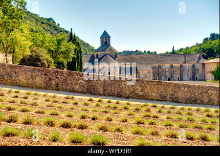 Senanque Abtei, Frankreich Stockfoto