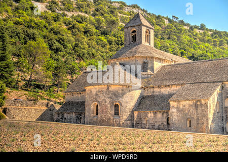 Senanque Abtei, Frankreich Stockfoto