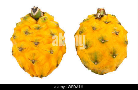 Gelbe Drachenfrucht pitahaya Pfad isoliert auf weißem Stockfoto