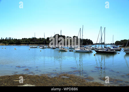 Blick Richtung Hafen Anna bei Ebbe mit angelegten segeln Boote vom Strand auf Ile de Conleau, Vannes, Morbihan, Bretagne, Frankreich Stockfoto