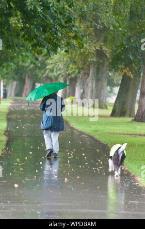 Builth Wells, Powys, UK. 9 Sep, 2019. Eine Frau geht mit ihrem Hund im Regen in die Groe Recreation Park in der Mitte von Wales Marktstadt Builth Wells, Powys, UK. Credit: Graham M. Lawrence/Alamy leben Nachrichten Stockfoto