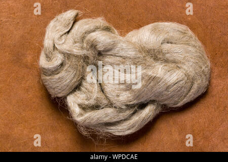 Raw jute Faser, wie sie für die Produktion von Jute Tuch verwendet Stockfoto