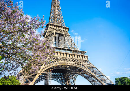 Die einzigartige ikonischen Eiffelturm mit Frühling blühenden Baum, als Symbol und Wahrzeichen von Paris und der Französischen Erfindergeist in der Histor Stockfoto