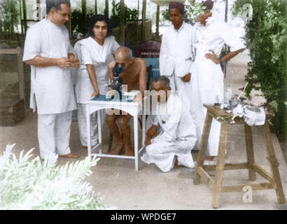 Dr. Gajjar zeigt Mahatma Gandhi Hakenwurm-Eizellen unter Mikroskop, Bombay, Mumbai, Indien, Asien, Mai 1944 Stockfoto