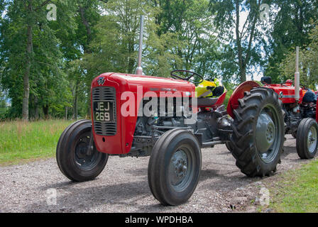 Makellos 1958 Rot Grau Massey Ferguson 35 Modell Traktor Isle of Bute Schottland United Kingdom Beifahrer linken Seite rechten Seitenbereich anzeigen Alte glea Stockfoto