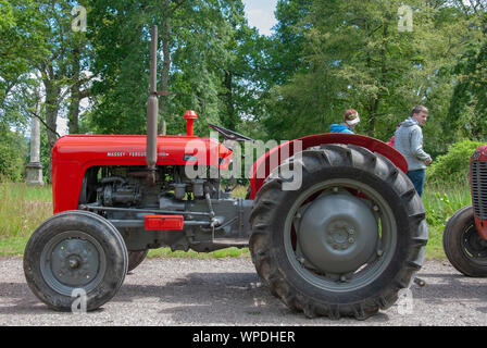 Makellos 60er Rot Grau Massey Ferguson 35 Modell Traktor Isle of Bute Schottland Großbritannien Passagiere linken Seite rechten Seitenbereich anzeigen alten glänzenden Stockfoto