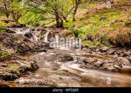 Der Fluss Eiddew über Lake Vyrnwy, Powys, Wales, Großbritannien. Stockfoto