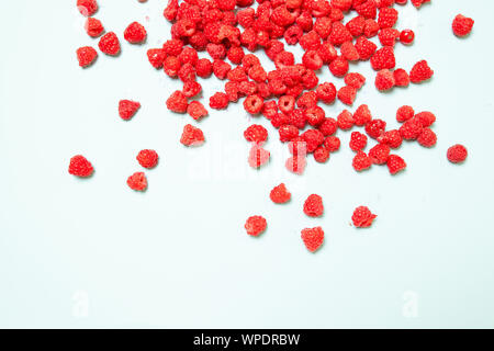 Frische Himbeeren auf blauem Hintergrund mit kopieren. Sommer und gesunde Ernährung Konzept, Ansicht von oben oder flach. Stockfoto