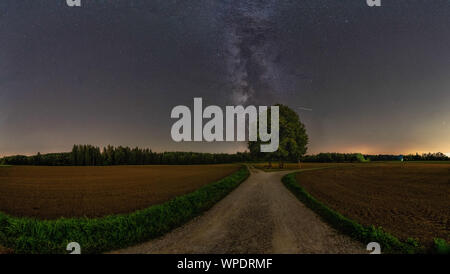 Die milchstrasse über einen einsamen Baum mit viel Text. Stockfoto