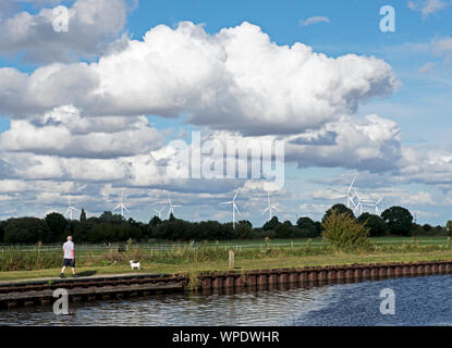 Mann, Hund auf dem Leinpfad der Stainforth und Keadby Canal, Thorne, South Yorkshire, England, Großbritannien Stockfoto