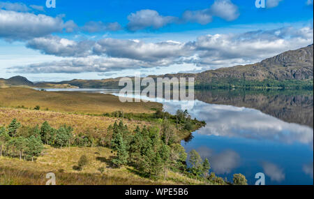 LOCH MAREE WESTER ROSS HIGHLANDS SCHOTTLAND SCOTS KIEFERN AUF DIE BANKEN UND AUF DER SUCHE NACH GAIRLOCH Stockfoto