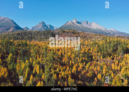 Berge an einem sonnigen Tag mit Wald in den Farben des Herbstes Stockfoto