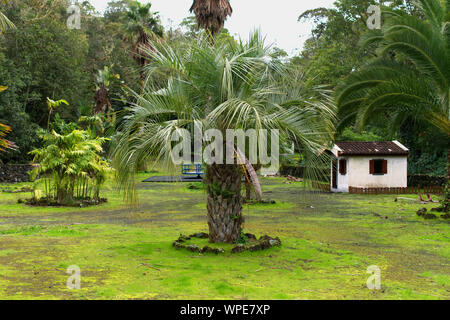 Haus in einem Park in Ponta Delgada Stockfoto