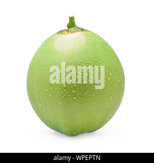 Grüne Kokosnuss mit Wassertropfen auf weißem Hintergrund Stockfoto