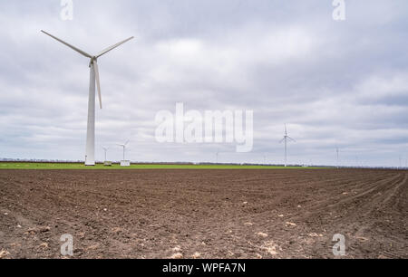 Ein Feld von Windenergieanlagen zur Stromerzeugung Stockfoto